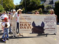 Parade 2010